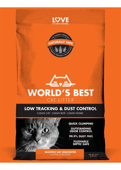 best cat lotter|best cat litter for tracking.